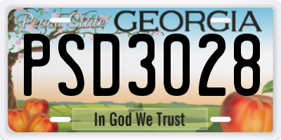 GA license plate PSD3028