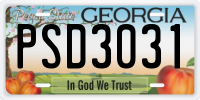 GA license plate PSD3031