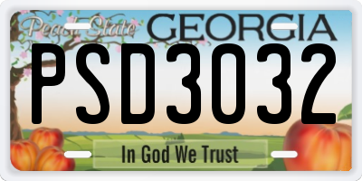 GA license plate PSD3032