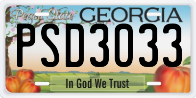 GA license plate PSD3033