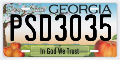 GA license plate PSD3035
