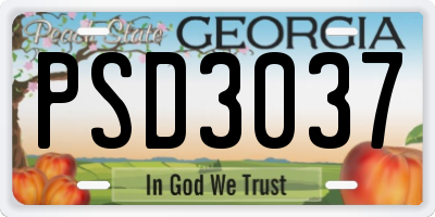 GA license plate PSD3037