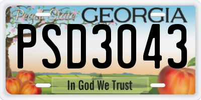GA license plate PSD3043