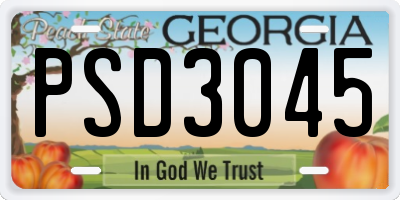 GA license plate PSD3045