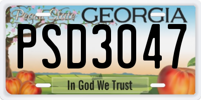 GA license plate PSD3047