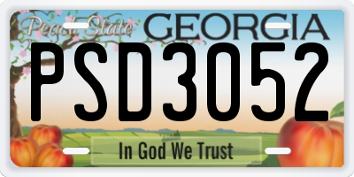 GA license plate PSD3052