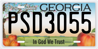 GA license plate PSD3055