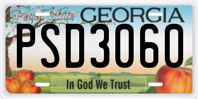 GA license plate PSD3060