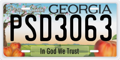 GA license plate PSD3063