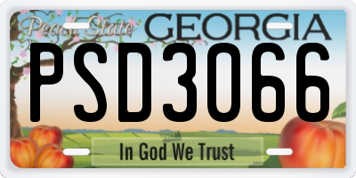 GA license plate PSD3066