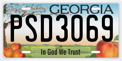 GA license plate PSD3069