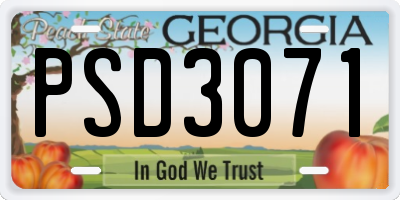 GA license plate PSD3071