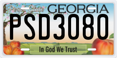 GA license plate PSD3080