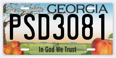GA license plate PSD3081