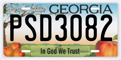 GA license plate PSD3082