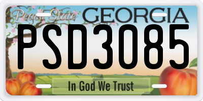 GA license plate PSD3085