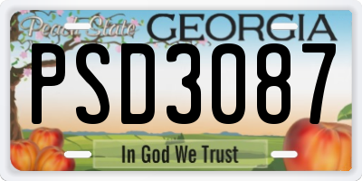 GA license plate PSD3087