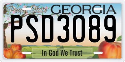 GA license plate PSD3089