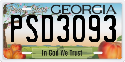 GA license plate PSD3093
