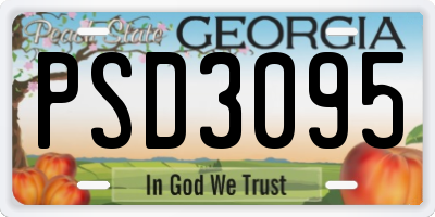 GA license plate PSD3095