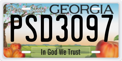 GA license plate PSD3097