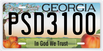 GA license plate PSD3100