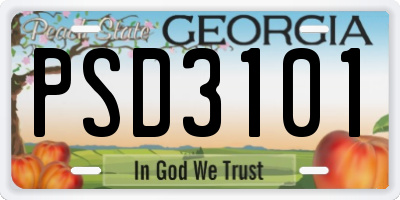 GA license plate PSD3101
