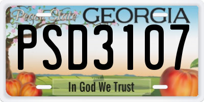 GA license plate PSD3107