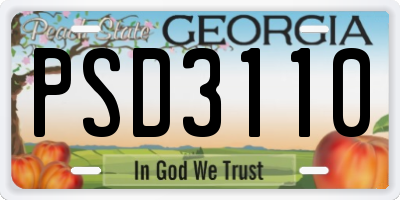 GA license plate PSD3110