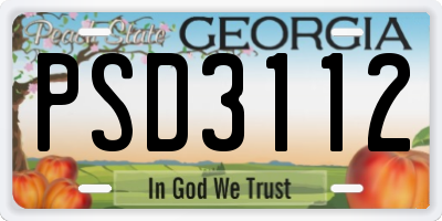 GA license plate PSD3112