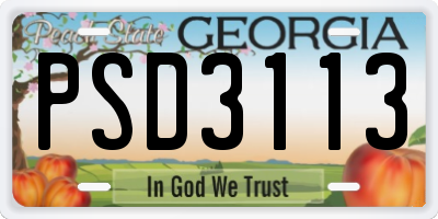 GA license plate PSD3113