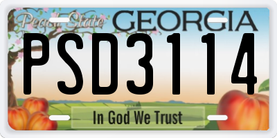 GA license plate PSD3114
