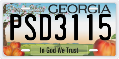 GA license plate PSD3115