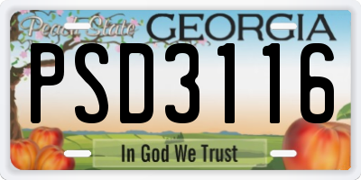 GA license plate PSD3116