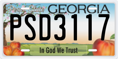 GA license plate PSD3117