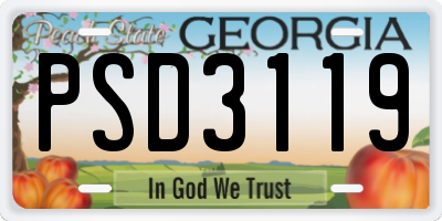 GA license plate PSD3119