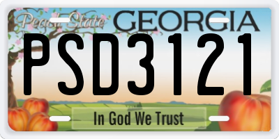 GA license plate PSD3121