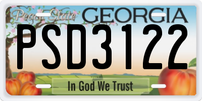 GA license plate PSD3122