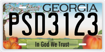 GA license plate PSD3123