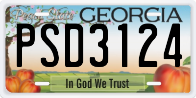 GA license plate PSD3124