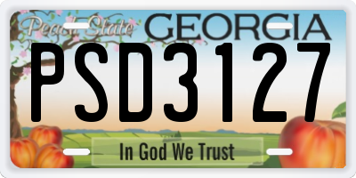 GA license plate PSD3127