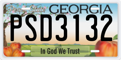 GA license plate PSD3132