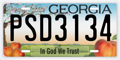 GA license plate PSD3134