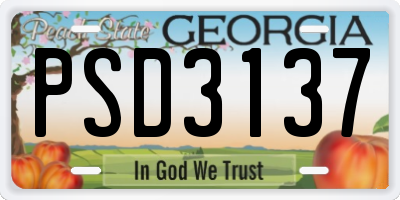 GA license plate PSD3137