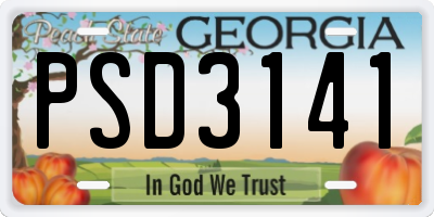 GA license plate PSD3141