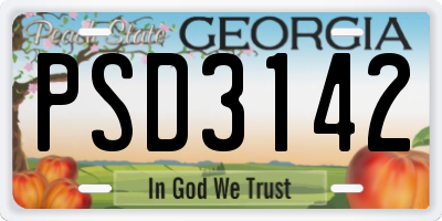 GA license plate PSD3142
