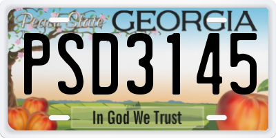 GA license plate PSD3145
