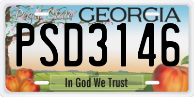 GA license plate PSD3146