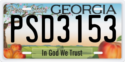 GA license plate PSD3153