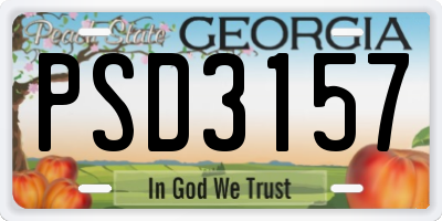 GA license plate PSD3157